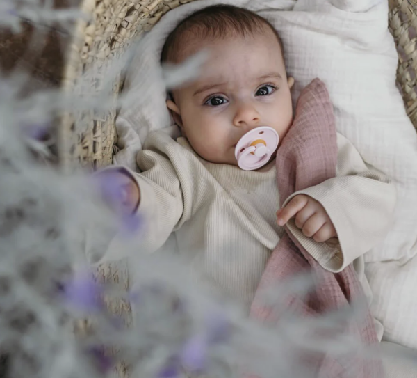 Bibs Colour Kauçuk Emzik – Blossom, Size: 1 (0-6 Ay)