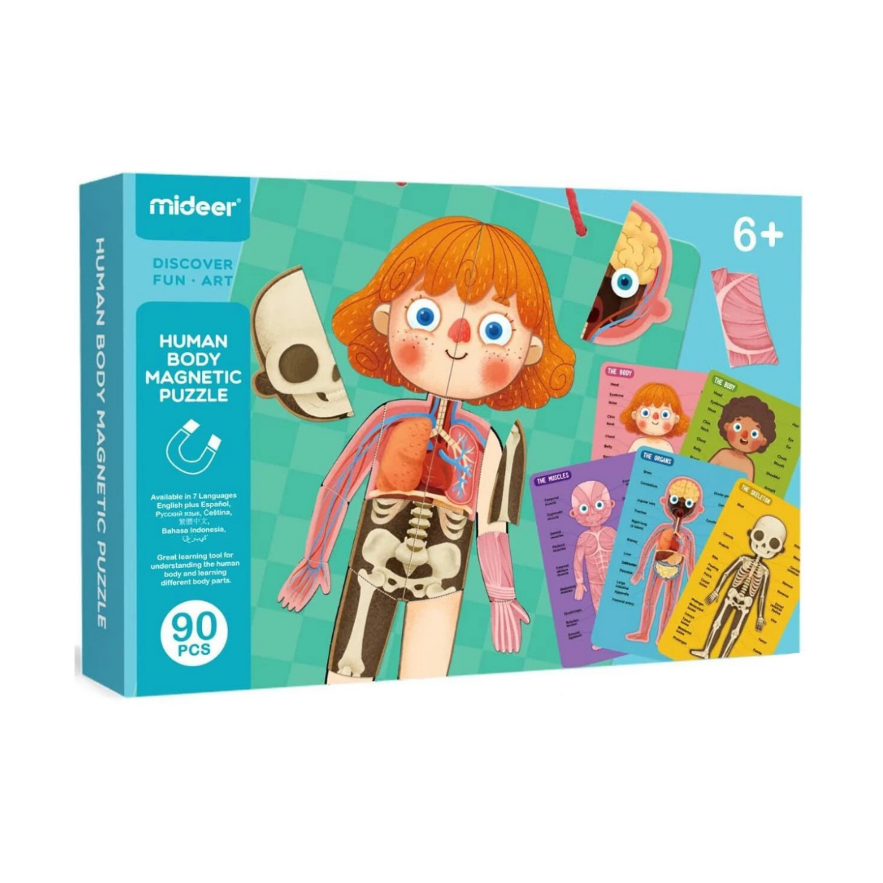Mideer Body Magnet / Eğitici İnsan Vücudu Oyun Seti
