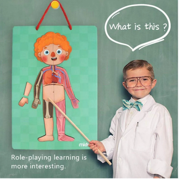 Mideer - Body Magnet / Eğitici İnsan Vücudu Oyun Seti 90 Parça