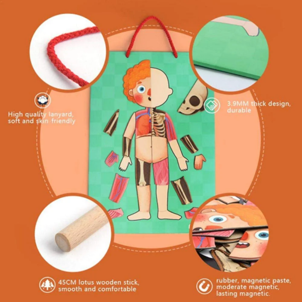 Mideer - Body Magnet / Eğitici İnsan Vücudu Oyun Seti 90 Parça