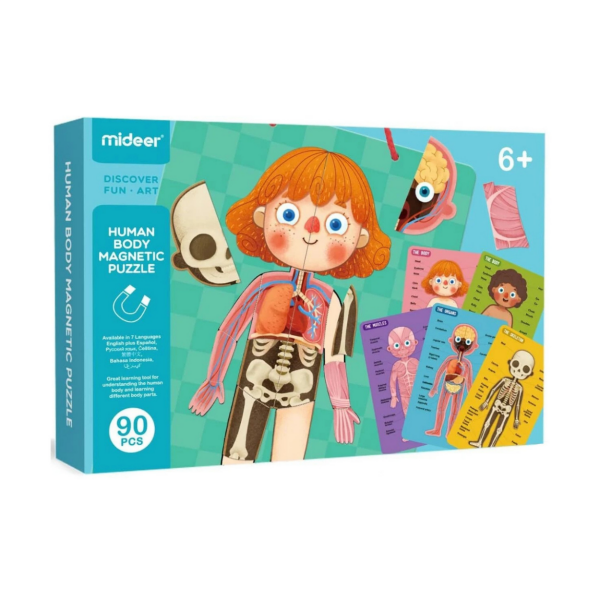 Mideer Body Magnet / Eğitici İnsan Vücudu Oyun Seti