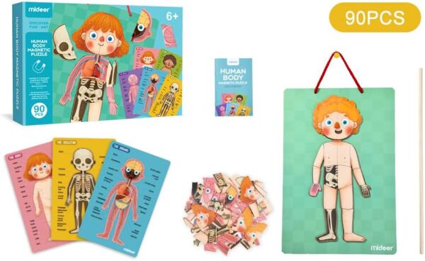 Mideer - Body Magnet / Eğitici İnsan Vücudu Oyun Seti - 90 Parça