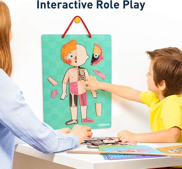 Mideer - Body Magnet / Eğitici İnsan Vücudu Oyun Seti 90 Parça