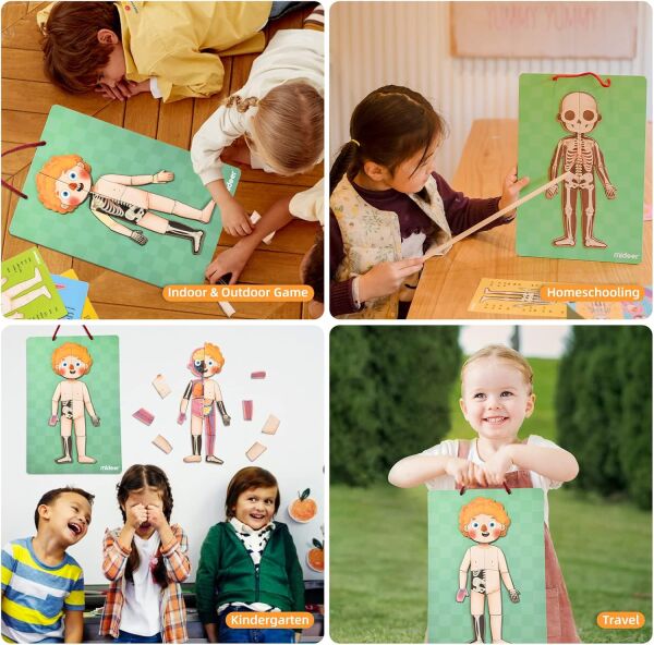 Mideer - Body Magnet / Eğitici İnsan Vücudu Oyun Seti 90 Parça