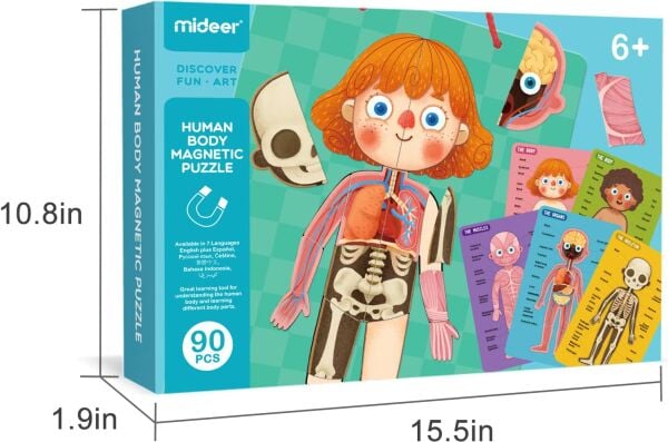 Mideer - Body Magnet / Eğitici İnsan Vücudu Oyun Seti 90 Parça