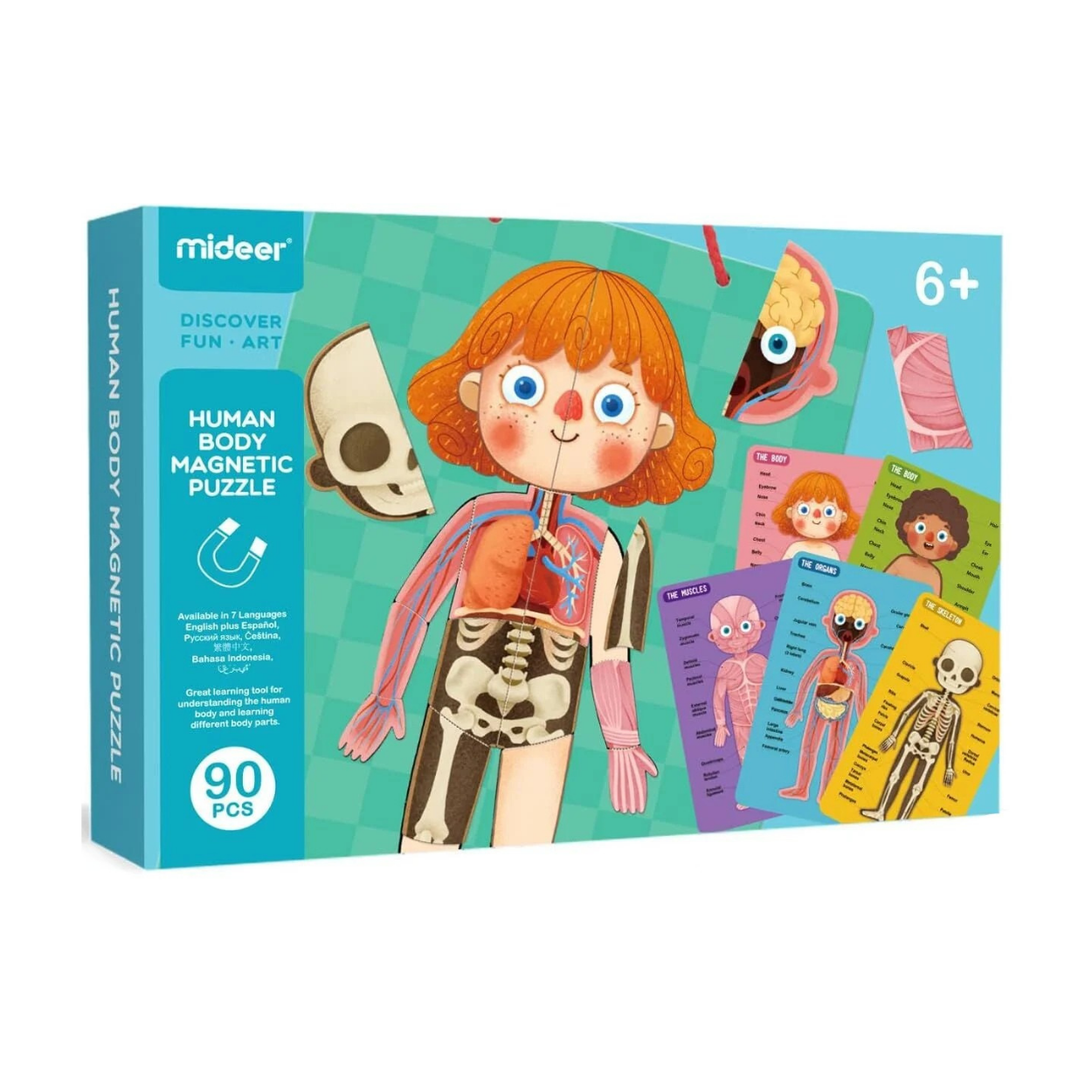 Mideer - Body Magnet / Eğitici İnsan Vücudu Oyun Seti - 90 Parça