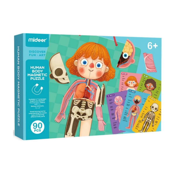 Mideer - Body Magnet / Eğitici İnsan Vücudu Oyun Seti - 90 Parça