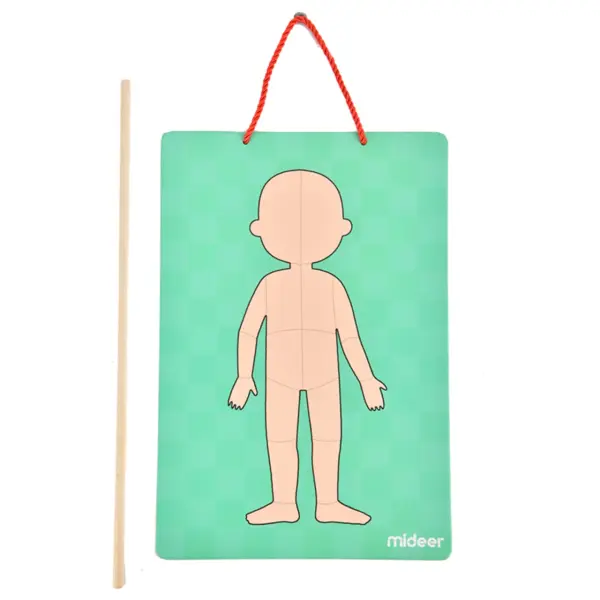 Mideer - Body Magnet / Eğitici İnsan Vücudu Oyun Seti 90 Parça