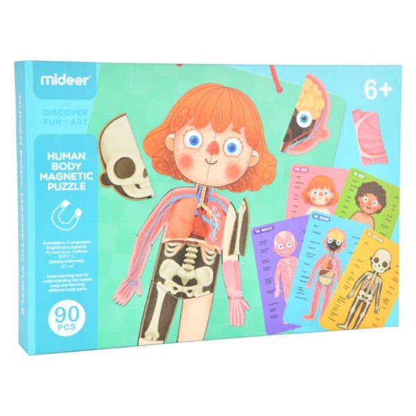 Mideer - Body Magnet / Eğitici İnsan Vücudu Oyun Seti 90 Parça
