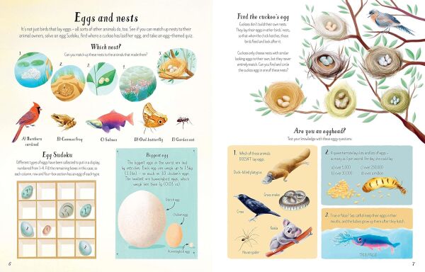 Nature - Aktivite Kitabı