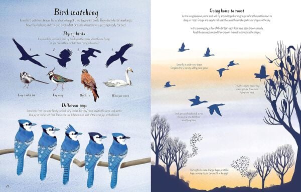 Nature - Aktivite Kitabı