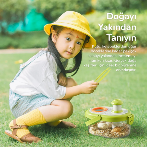 Mideer Böcek Gözlem Kutusu