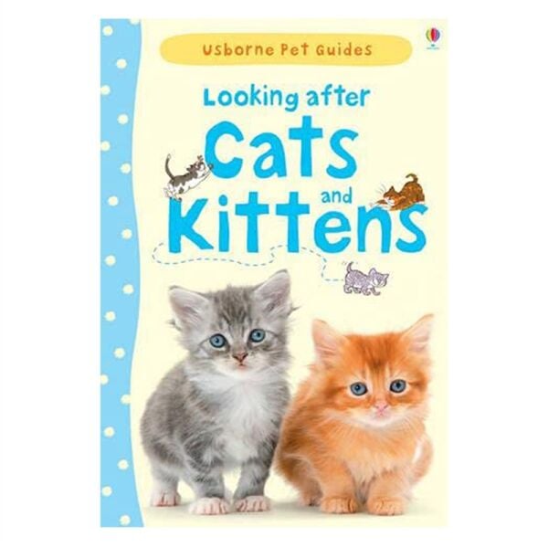 Looking After Cats And Kittens