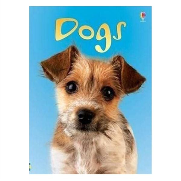 Dogs - Beginners