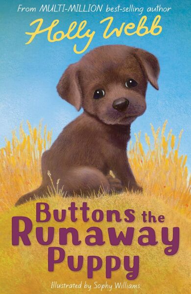 Buttons the Runaway Puppy