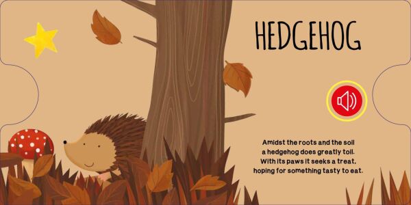 Sound Books - The Wood