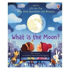 What Is The Moon