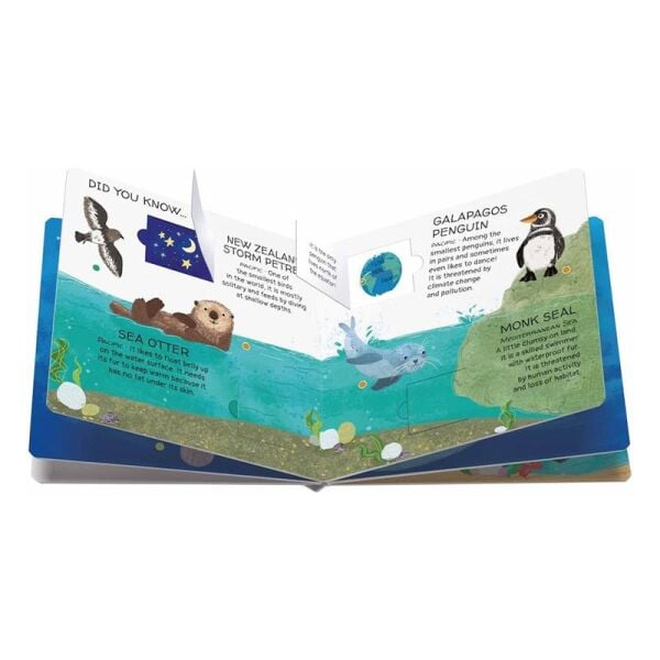 Animals To Save - Seas and Oceans