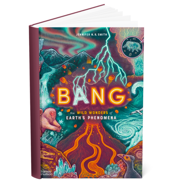 Bang - The Wild Wonders Of Earths Phenomena