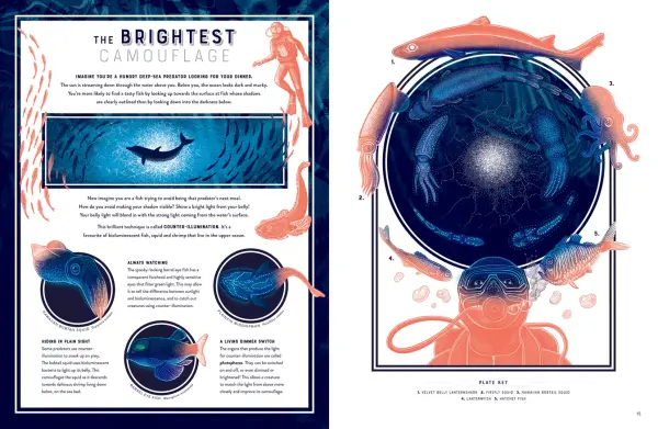 Glow - The Wild Wonders Of Bioluminescence