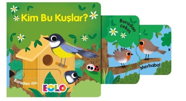 Kim Bu Kuşlar?