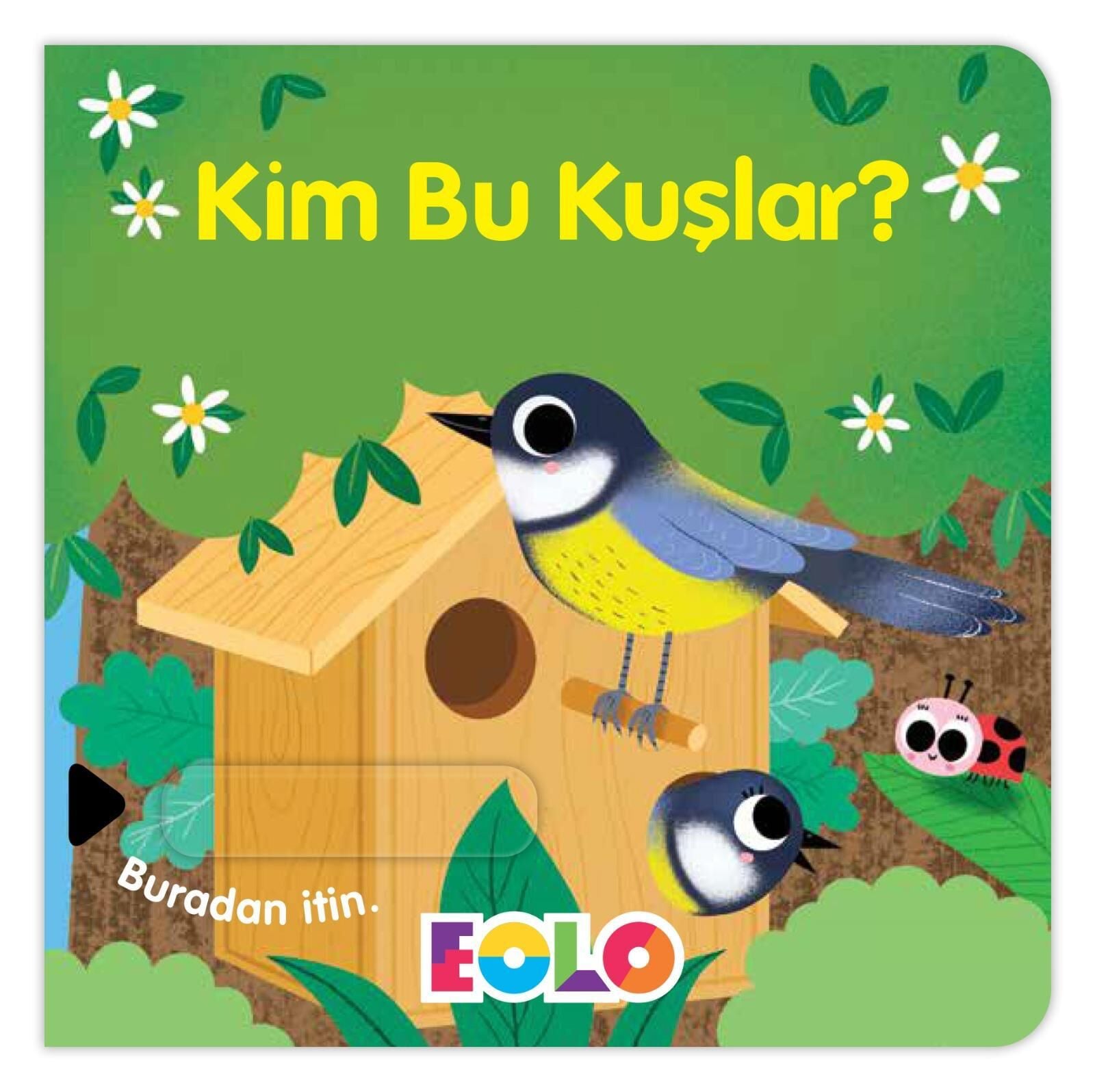 Kim Bu Kuşlar?