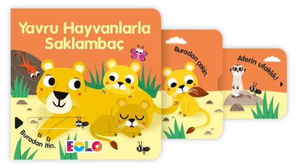 Yavru Hayvanlarla Saklambaç