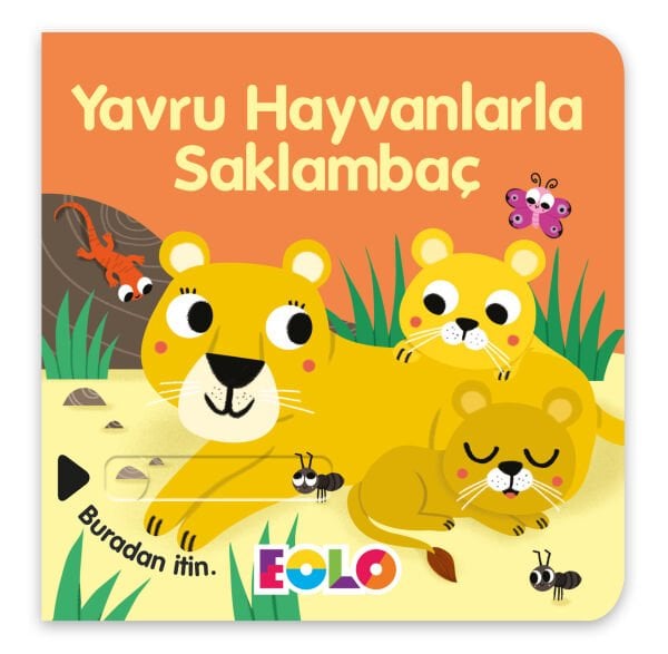 Yavru Hayvanlarla Saklambaç