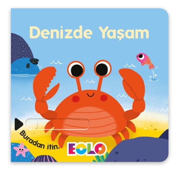 Denizde Yaşam