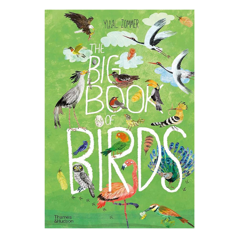 The Big Book Of Birds
