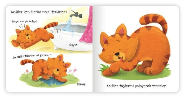Kediler Ne Sever?