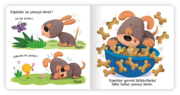 Köpekler Ne Sever?