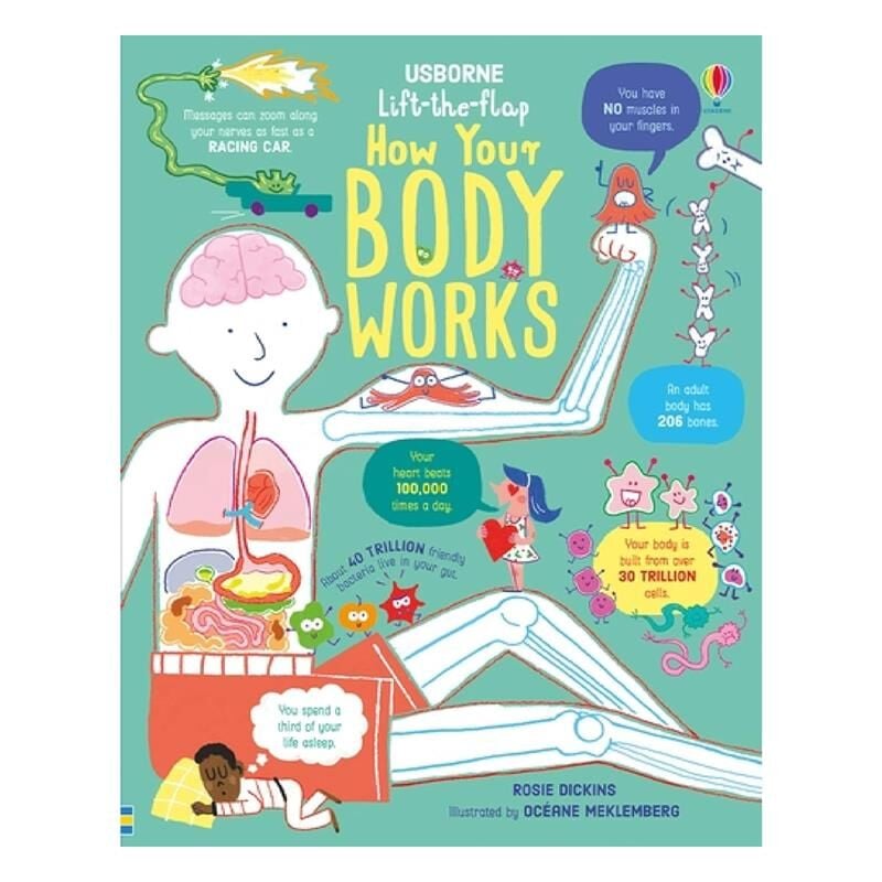 Lift The Flap How Your Body Works