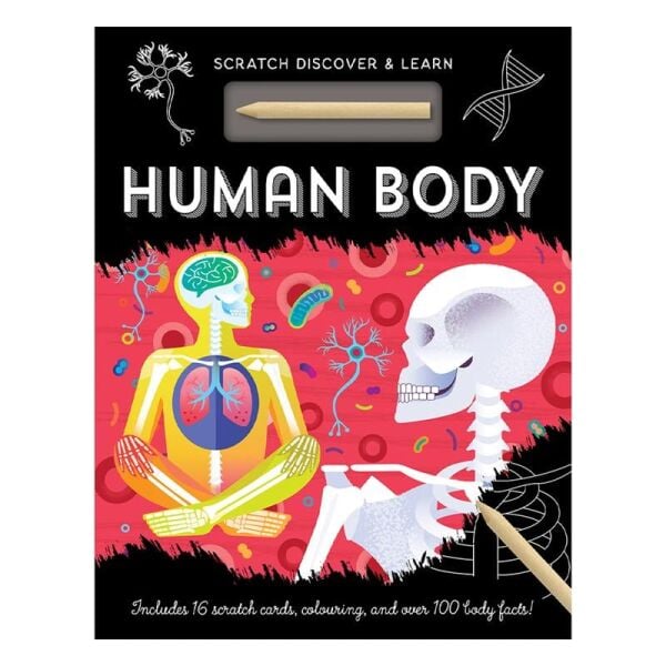 Human Body - Scratch, Discover And Learn