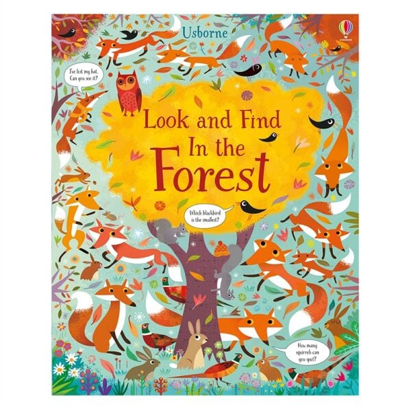 Look And Find In The Forest