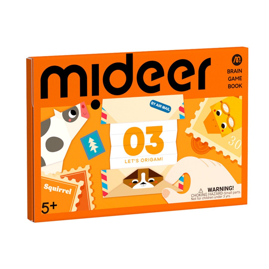 Zeka Oyunu Kitabı: Origami Etkinlikleri 3. Seviye