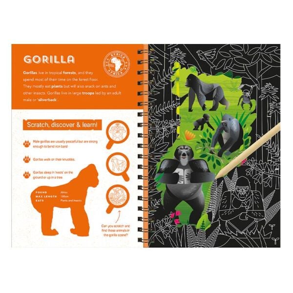 Animals - Scratch Discover And Learn