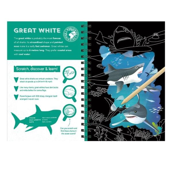 Sharks - Scratch Discover And Learn