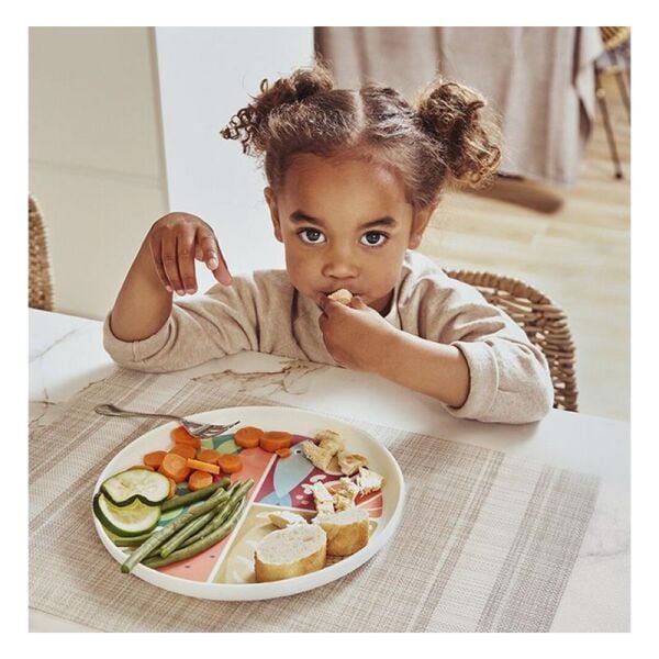 Nutrihealthy Sağlıklı Beslenme Tabağı