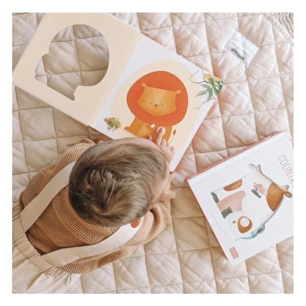 Who Lıves In The Woods