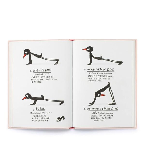 Yoga for Stiff Birds