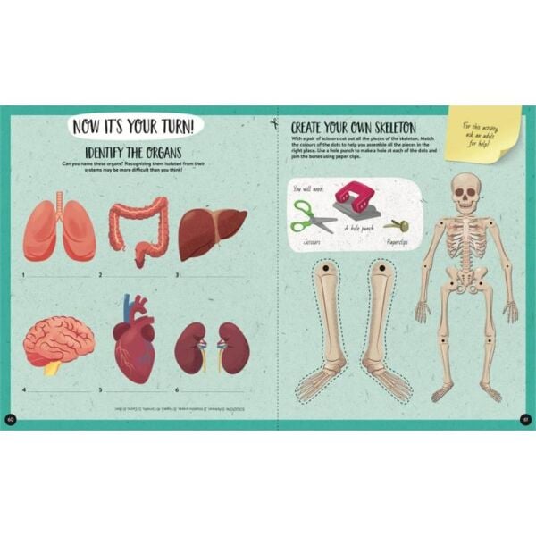 What- How- Why - Human Body