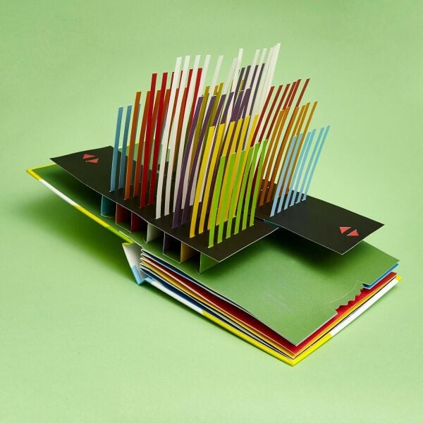 Move! - Pop-up Kitap