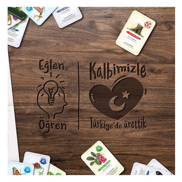 Ekosistem Besin Zinciri Kutu Oyunu