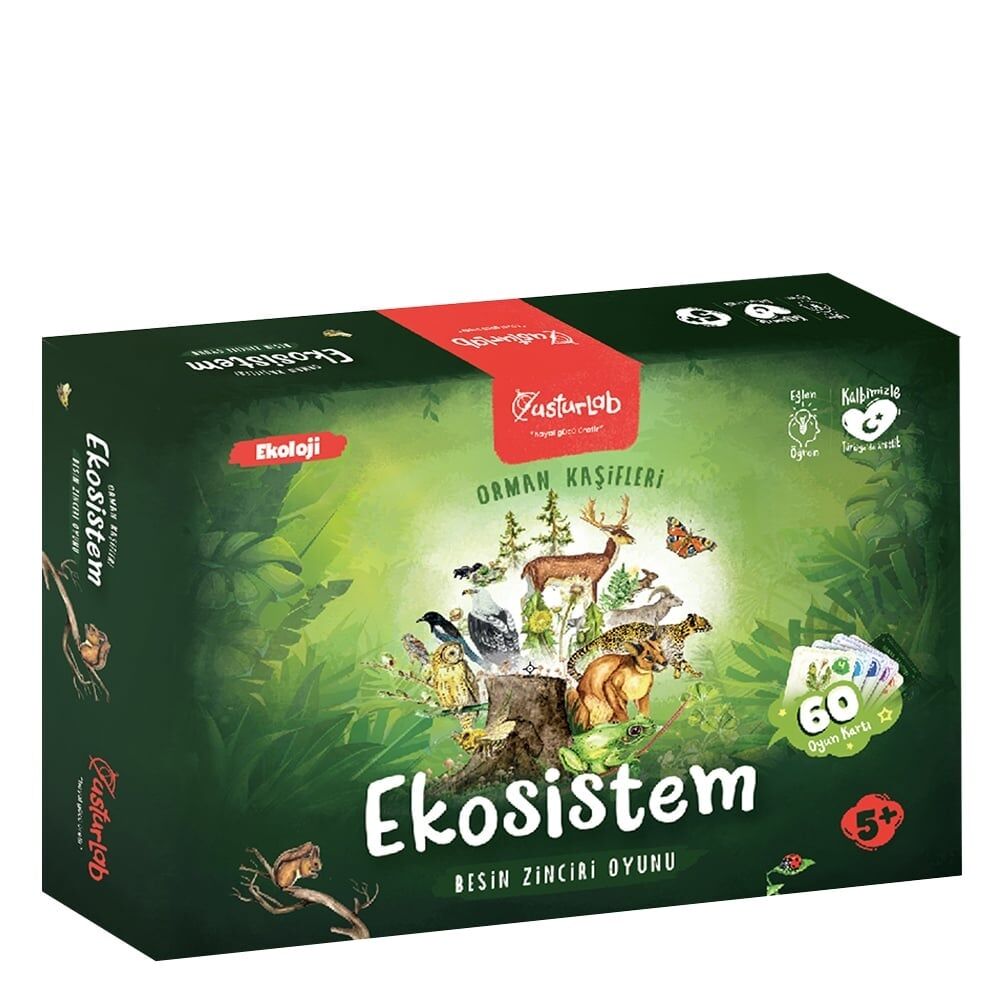 Ekosistem Besin Zinciri Kutu Oyunu