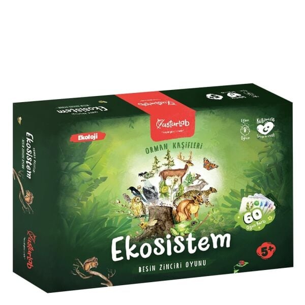 Ekosistem Besin Zinciri Kutu Oyunu