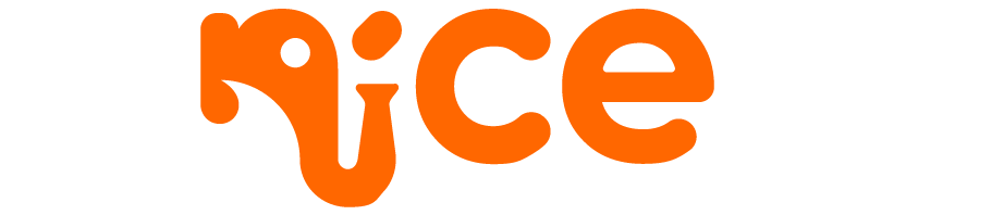 NiceKids I Eğitici Oyuncak, Çocuk Kitapları ve Anne Bebek Ürünleri