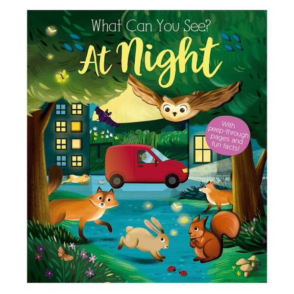 What Can You See At Night