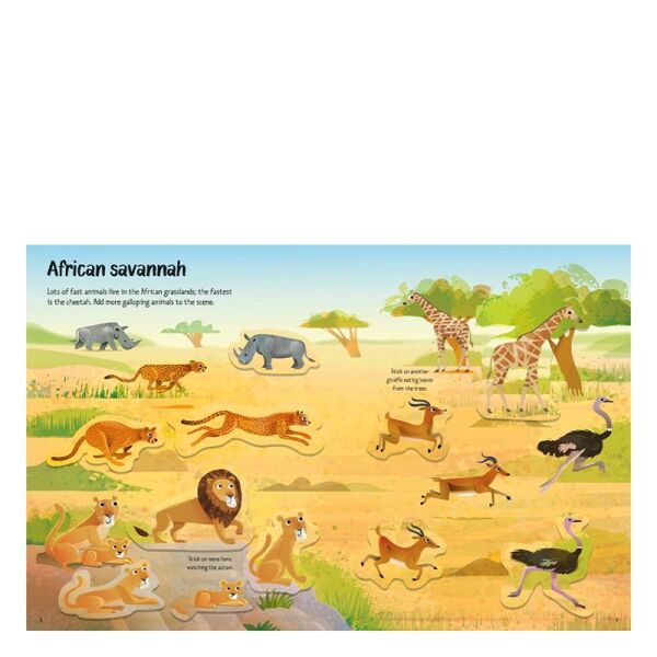 First Sticker Book Wild Animals