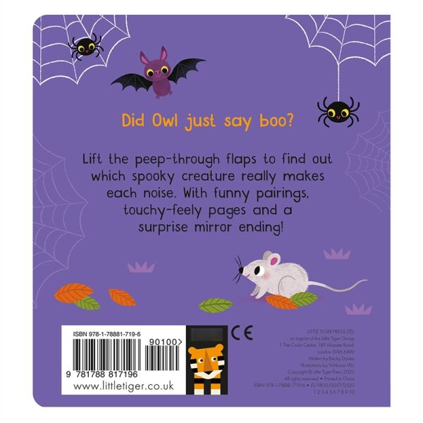 Who Said Boo - A Lift-The-Flap Touch And Feel Boo